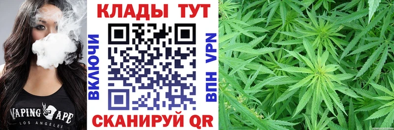 Купить наркоту Петровск-Забайкальский Конопля  Псилоцибиновые грибы  APVP  ГАШ  Меф мяу мяу 