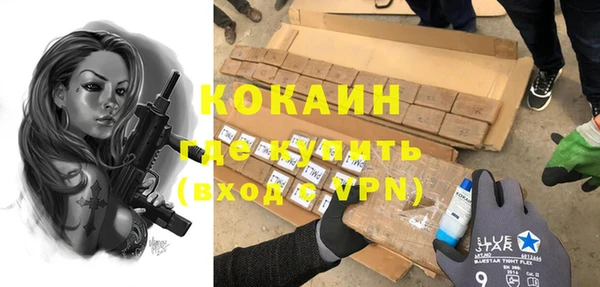 прущие грибы Россошь