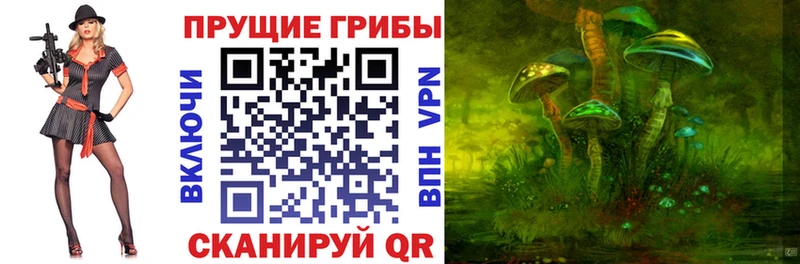 что такое наркотик  Петровск-Забайкальский  Псилоцибиновые грибы Magic Shrooms 